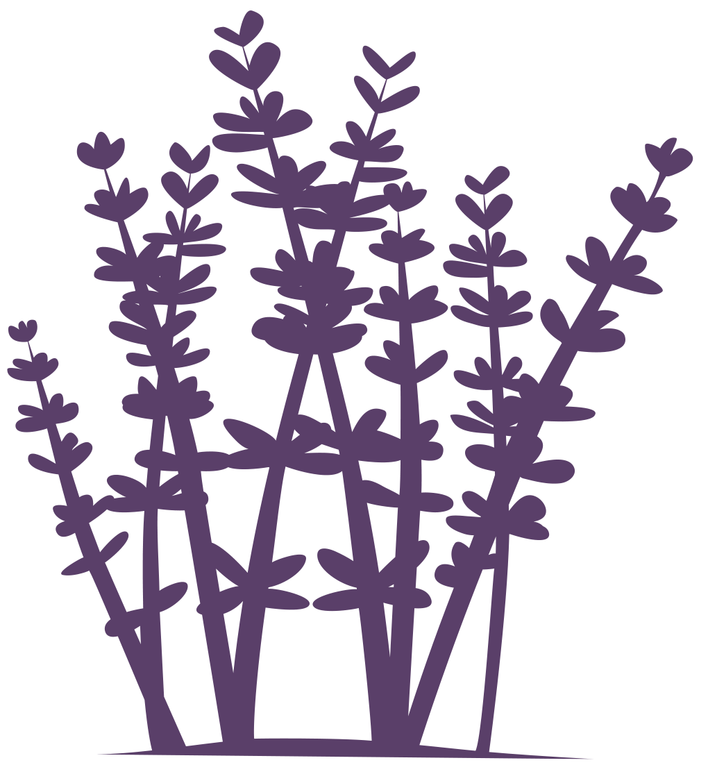 Schoonheidssalon Lavendel