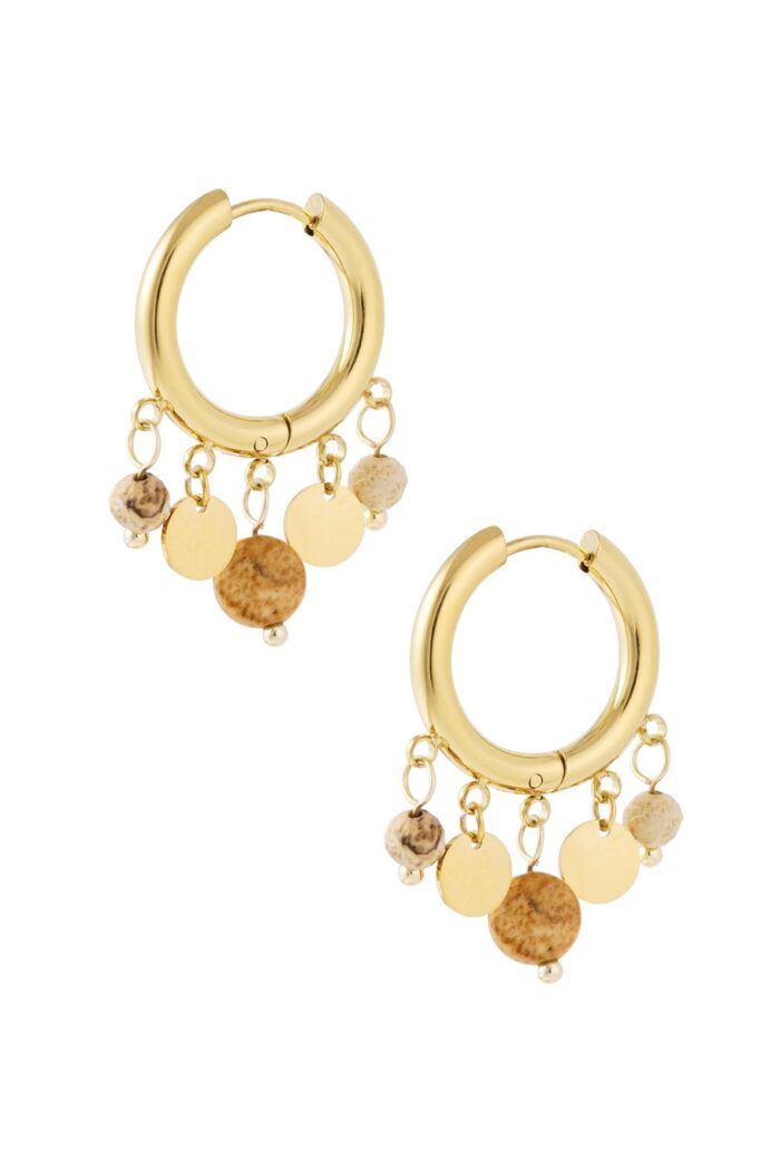 Oorbellen coins bruin